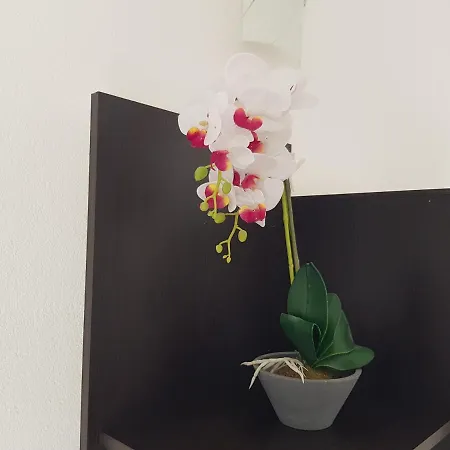 Διαμέρισμα Mia With Pool1